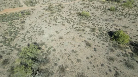 Breathtaking Aerial Views of the Apache Junction Desert Stock Footage 303040895