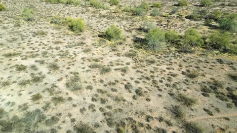 Breathtaking Aerial Views of the Apache Junction Desert Stock Footage 303040945