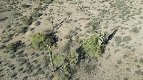 Breathtaking Aerial Views of the Apache Junction Desert Stock Footage 303041254