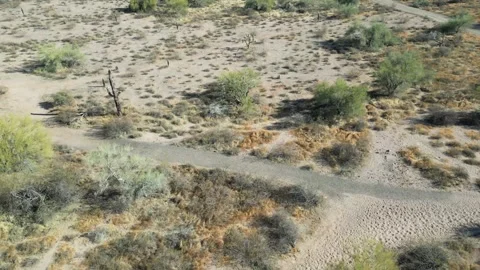 Breathtaking Aerial Views of the Apache Junction Desert Stock Footage 303041345