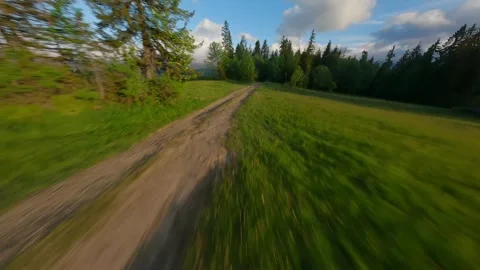 The breathtaking agile flight along the path in Tantra mountains. Poland Stock Footage 278893329