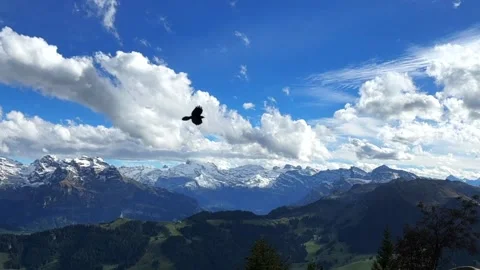Breathtaking Alpine Panorama with Soaring Alpine Chough Over Stanserhorn Stock Footage 291634964