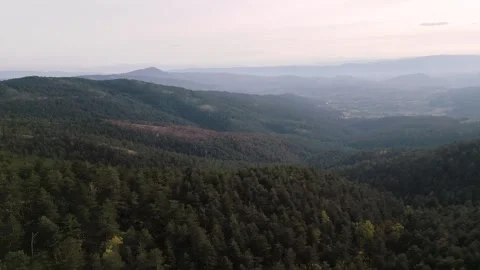 Breathtaking Autumn Forest Drone Flight - Mixed Woodlands and Rugged Mountain Te Stock Footage 330495736
