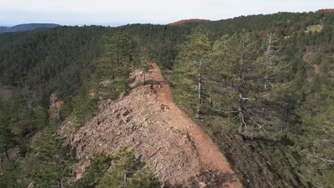 Breathtaking Autumn Forest Drone Flight - Mixed Woodlands and Rugged Mountain Te Video stock 330495835