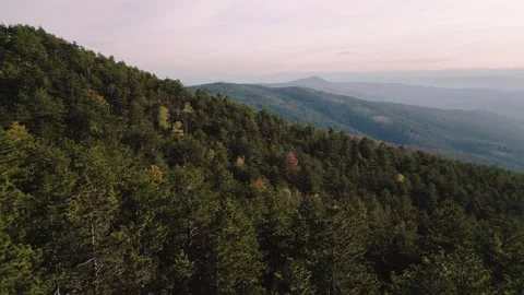 Breathtaking Autumn Forest Drone Flight - Mixed Woodlands and Rugged Mountain Te Vídeos de archivo 330495895