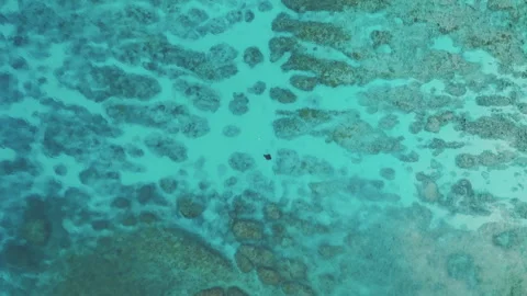 Breathtaking Diamond Beach Manta Rays Ocean Lagoon Aerial View 4K Видео 342175524