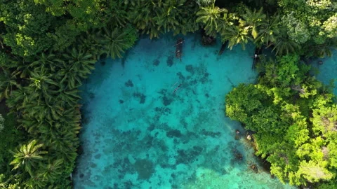 Breathtaking Drone Shot Clear Turquoise Water Paisu Pok Lake 4K Stock Footage 337261549