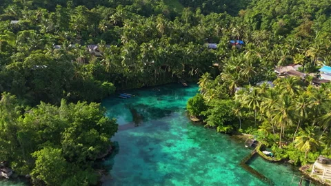 Breathtaking Drone Shot Clear Turquoise Water Paisu Pok Lake 4K Stock Footage 337263514
