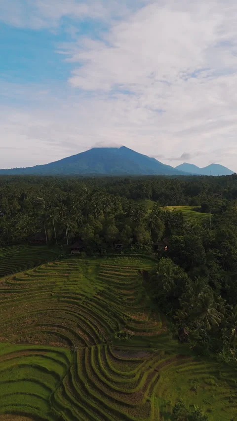 Breathtaking Drone Shot Clove Tree Hill Resort Rice Terraces 4K Stockbeeldmateriaal 341936082