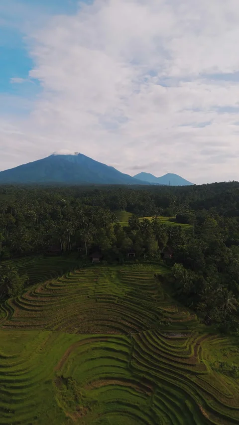 Breathtaking Drone Shot Clove Tree Hill Resort Rice Terraces 4K Vidéo 341936216