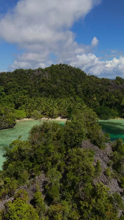 Breathtaking Drone Shot Limestone Cliffs Misool Indonesia 4K 動画素材 336747699