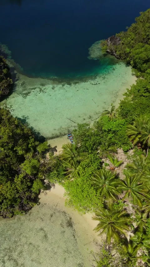 Breathtaking Drone Shot Limestone Cliffs Misool Indonesia 4K 動画素材 336859560