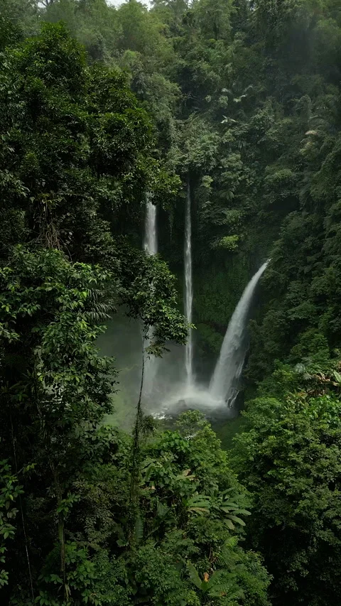 Breathtaking Drone Shot Tekaan Telu Waterfall Jungle Mist 4K Видео 339087204