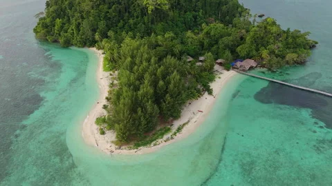 Breathtaking Drone Shot Tiny Beach and Pier Panun Island Indonesia 4K 스톡 동영상 337831337