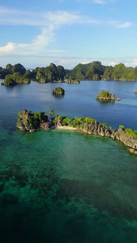 Breathtaking Drone Shot Tiny Tropical Beach Misool Indonesia 4K 動画素材 336745901