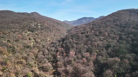 Breathtaking drone view of mountain rolling hills and amazing blue sky, growing Stock Footage 318650603