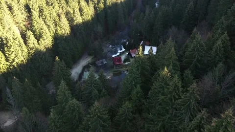 Breathtaking fly over pine trees and cabin Stock Footage 146219876