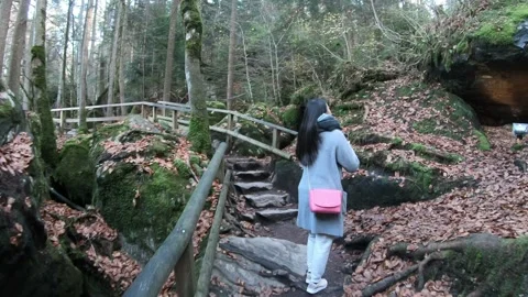 Breathtaking Forest Trail Exploration Stock Footage 314616553