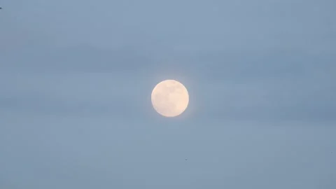 Breathtaking full moon in the blue sky - shot in 4K Stock Footage 156417093