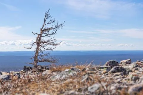 A breathtaking high angle landscape view from Kiilopaa mountain in Urho Kekko Stock Photos
