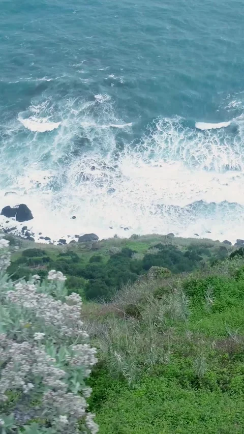 Breathtaking high-angle view of ocean waves meeting a green, rocky coast 库存影片 334441154