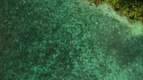 Breathtaking Isolated Tropical Beach Coastline Indonesia Aerial 動画素材 337137724
