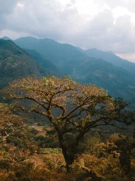 Breathtaking landscape featuring an array of majestic mountain peaks and lush ev Stock Photos