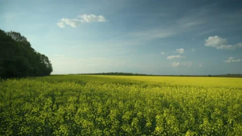 Breathtaking landscape of a field.Time lapse. Stock Footage 200811501