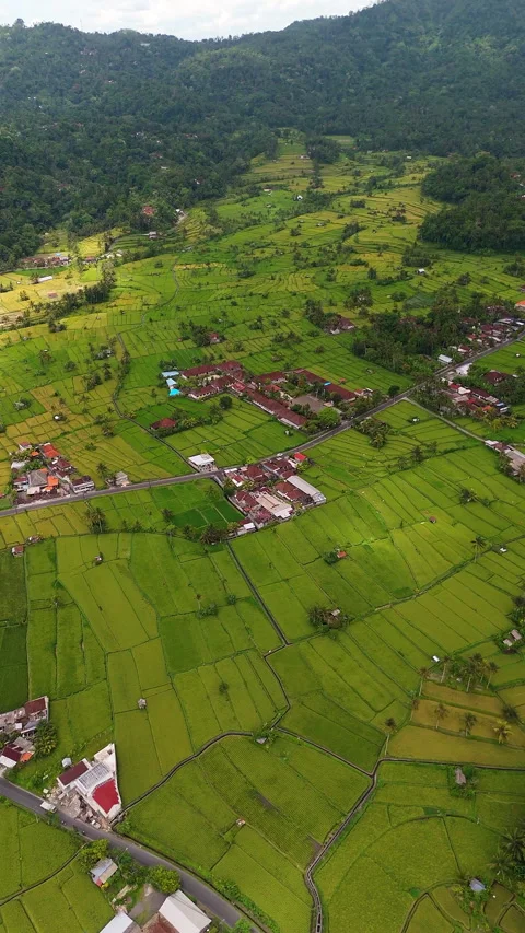 Breathtaking Lush Green Rice Fields Mount Agung Sunset Aerial Видео 340581315