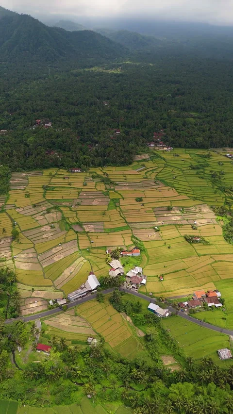 Breathtaking Lush Green Rice Fields Mount Agung Sunset Aerial Видео 340581402