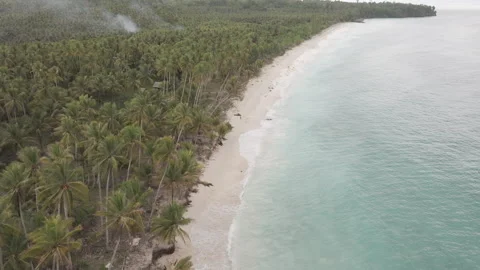 Breathtaking Mandel Beach Remote Tropical Drone Footage I D Log M LOG Format Stock Footage 317401337