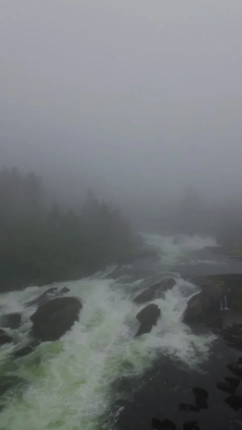 Breathtaking Misty River Scene with Flowing Water and Fog in Norway Stock Footage 296007373