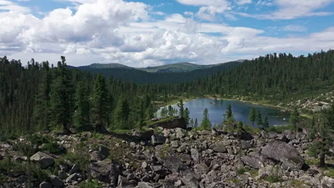 Breathtaking mountain lake view surrounded by lush forest Stock Footage 300884739