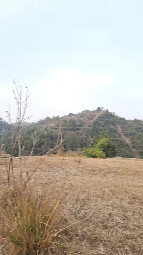 Breathtaking Mountain View with Wide Open Grassy Meadow Video stock 327573796