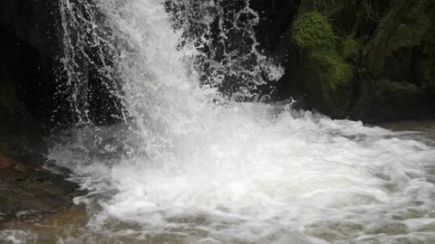 Breathtaking Mountain Waterfall in the Forest, Ukraine, Carpathians Stock Footage 247024171