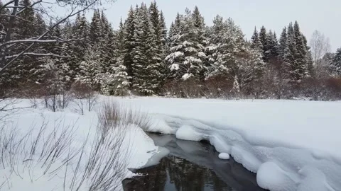 Breathtaking natural landscape, frozen forest and dark river Stock Footage 169788341