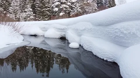Breathtaking natural landscape, frozen forest and dark river Stock Footage 169788853