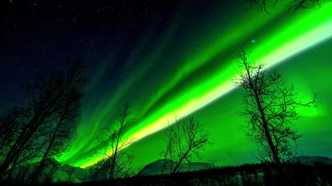 Breathtaking northern lights dancing over winter forest during cold night in Video stock 345715993