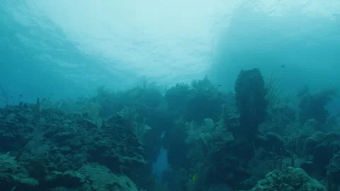 Breathtaking Ocean Seascape in Belize Stock Footage 306497708