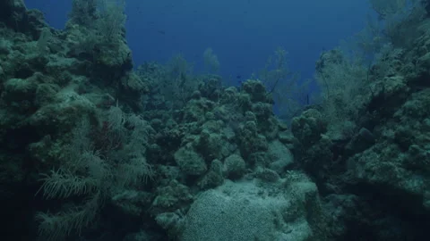 Breathtaking Ocean Seascape in Belize Video stock 306498716