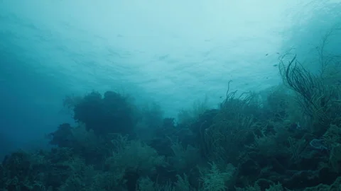 Breathtaking Ocean Seascape in Belize Stock Footage 306498738
