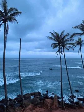 Breathtaking Ocean View from Cliff with Coconut Palm Trees in Mirissa, Sri Lanka Stock Photos