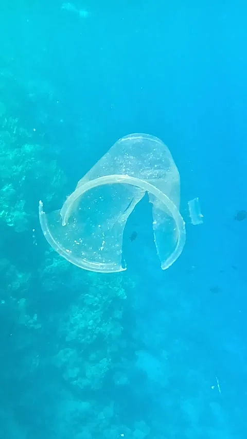 Breathtaking Oceanic Scene Featuring a Delicate Jellyfish Gliding Through Video stock 330095418