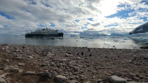 Breathtaking panorama of Neko Harbour with pristine glaciers, Antarctica Stock-Footage 335291379