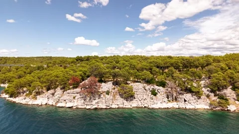 Breathtaking panoramic view of the serene Adriatic coastline with dense pine Stock Footage 317771739