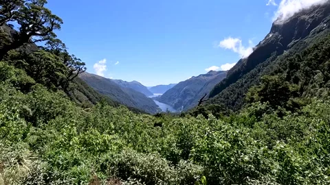 Breathtaking Panoramic View from Wilmot Pass Overlooking Doubtful Sound and.. Video stock 295014424