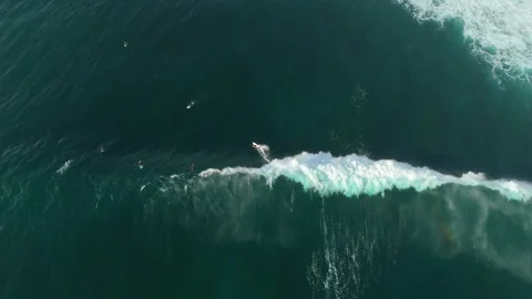 Breathtaking Peaceful Surfer Floating Ocean Lineup Uluwatu 4K Stock Footage 341478559