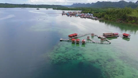 Breathtaking Pristine Island Beach and Coral Reef Misool Aerial 動画素材 337469702