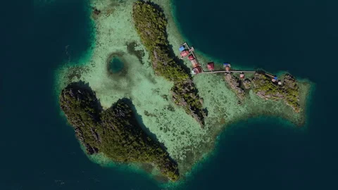 Breathtaking Pristine Island Beach and Coral Reef Misool Aerial Stockbeeldmateriaal 337470608