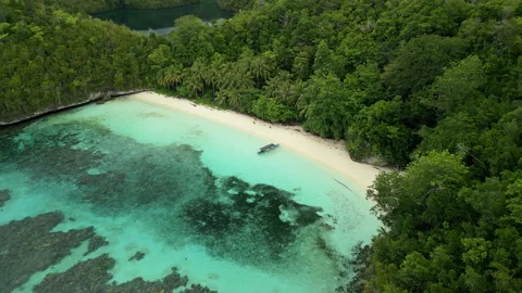 Breathtaking Pristine Island Beach and Coral Reef Indonesia Aerial 動画素材 337726133